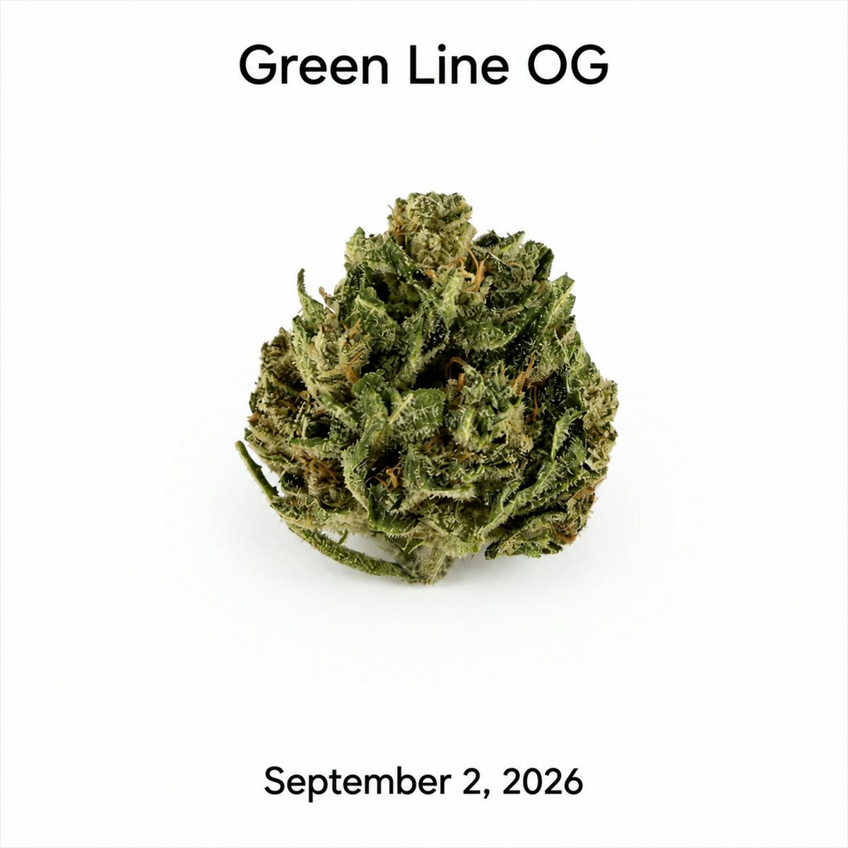 Dpf Green Line Og