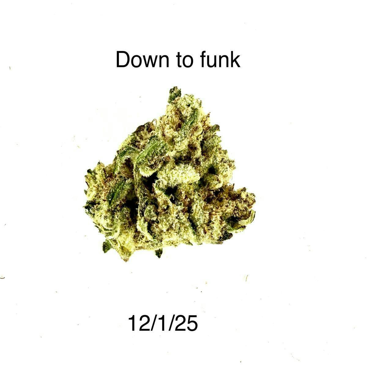 Hdh Down To Funk