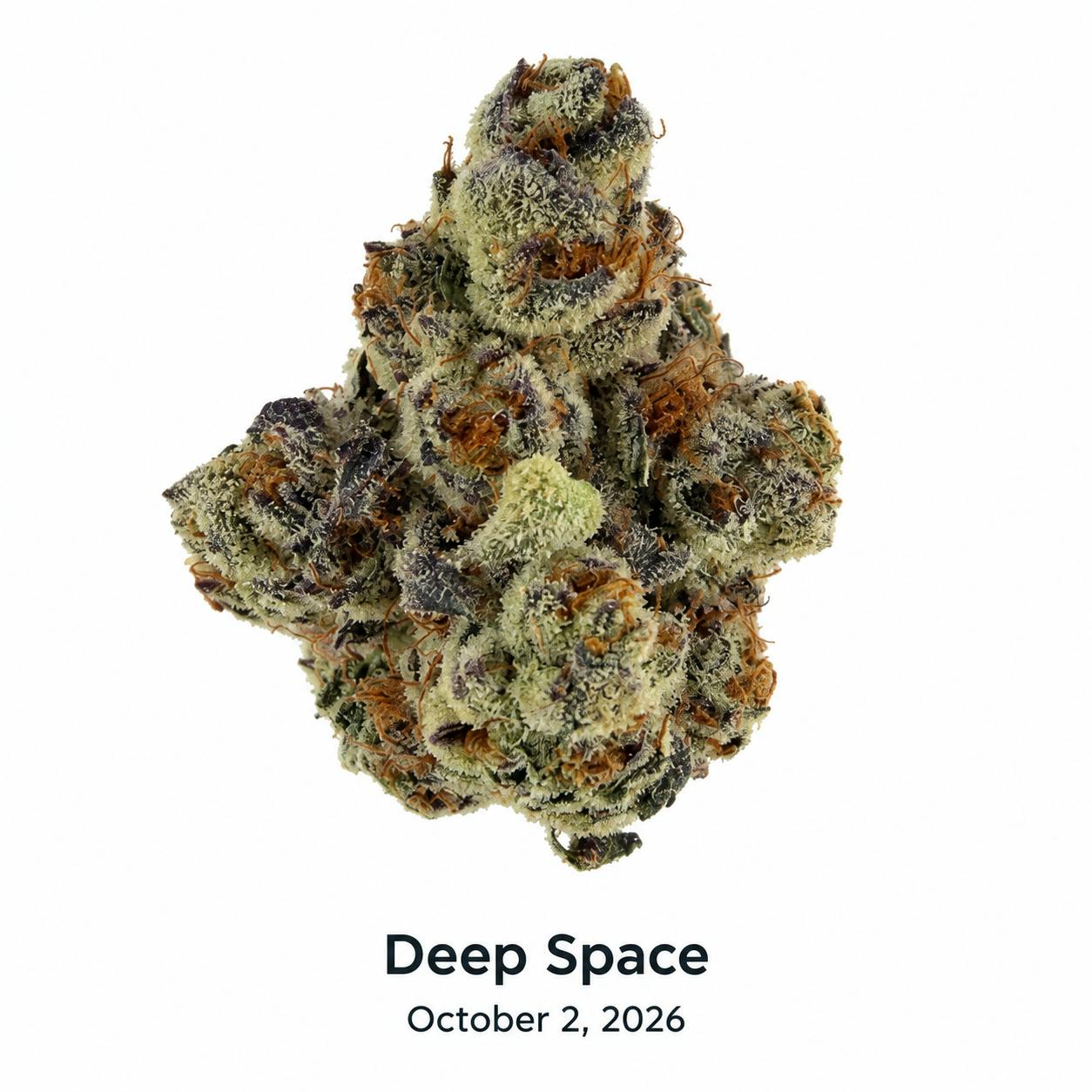 DSC - Deep Space