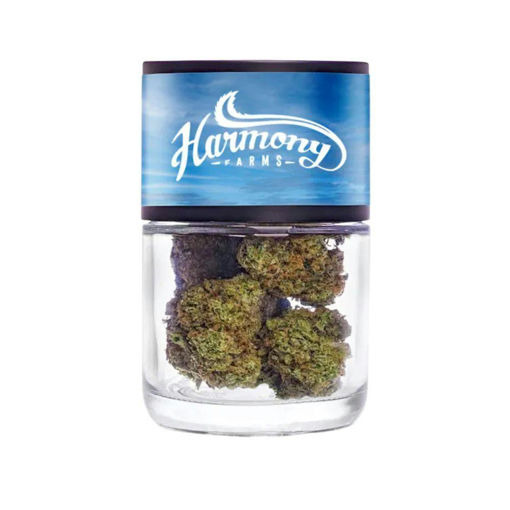 Island Sweet Skunk