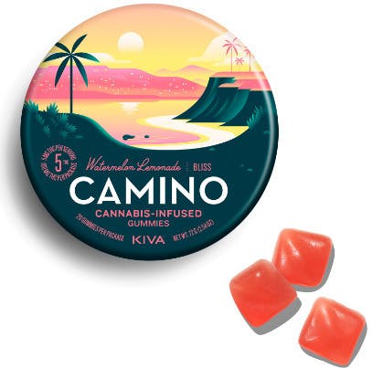 CAMINO — Watermelon Lemonade