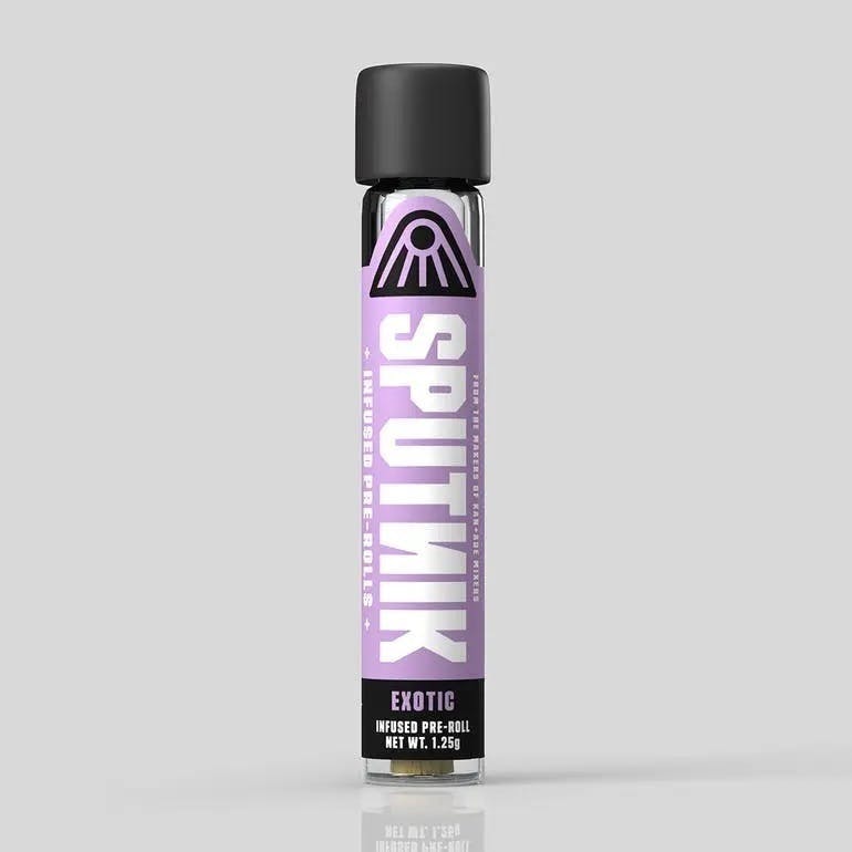 Sputnik — Sputnik
