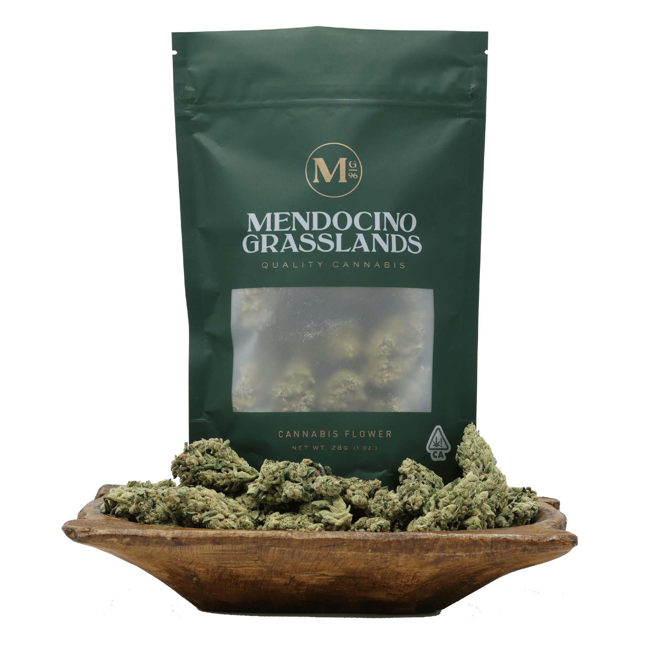 Mendocino Grasslands — Gov T Oasis