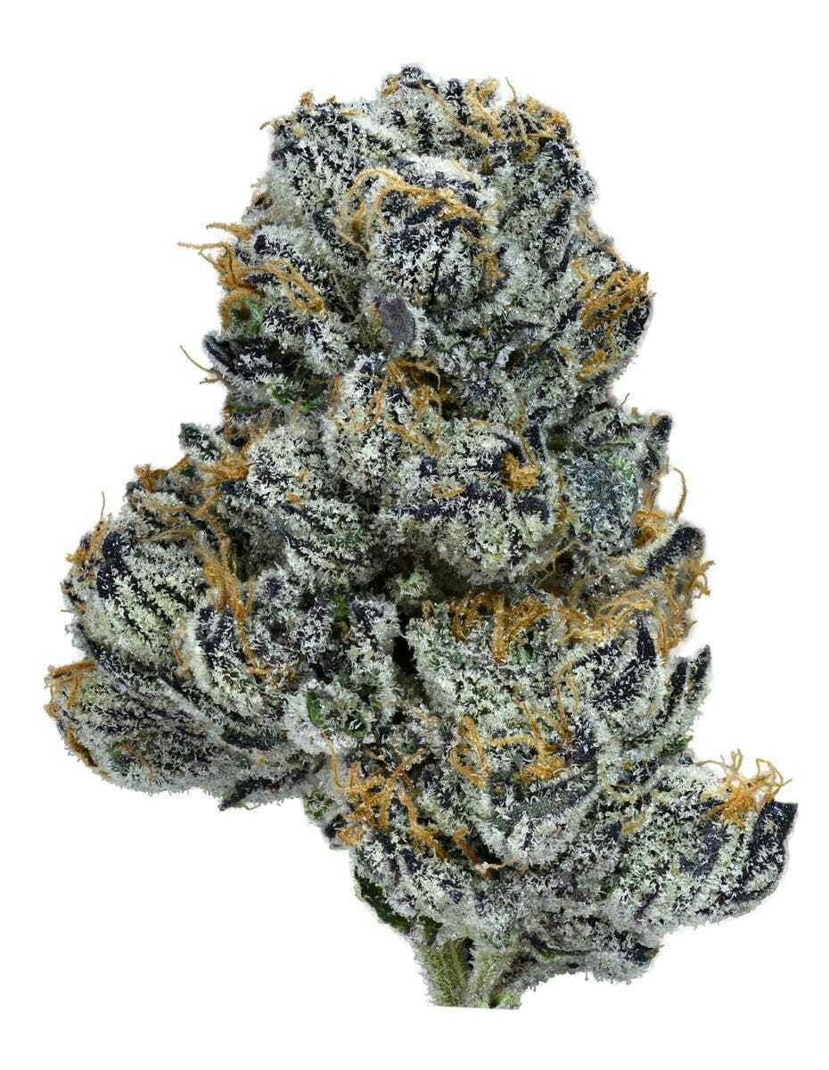 Smoken Promises | Violet Dreamsicle | Flower | 3.5g