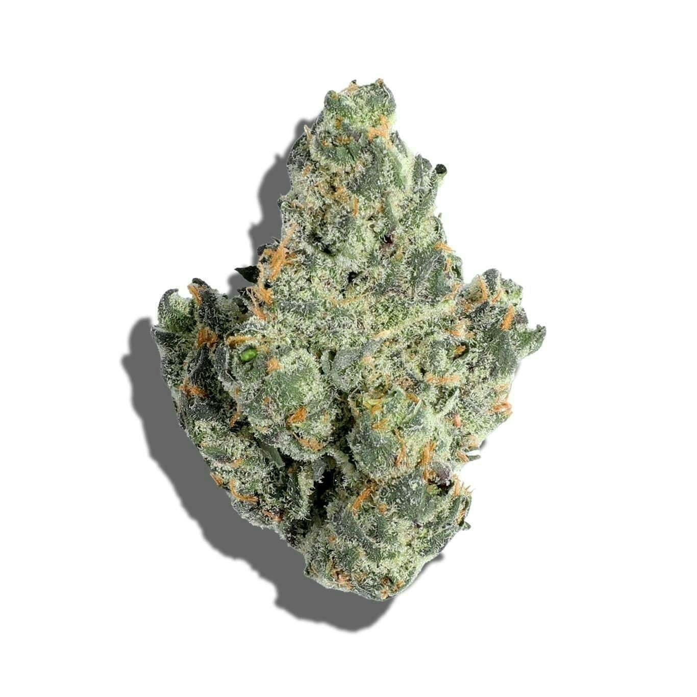 Mendocino Grasslands - Obama Runtz 14g - 1 gram