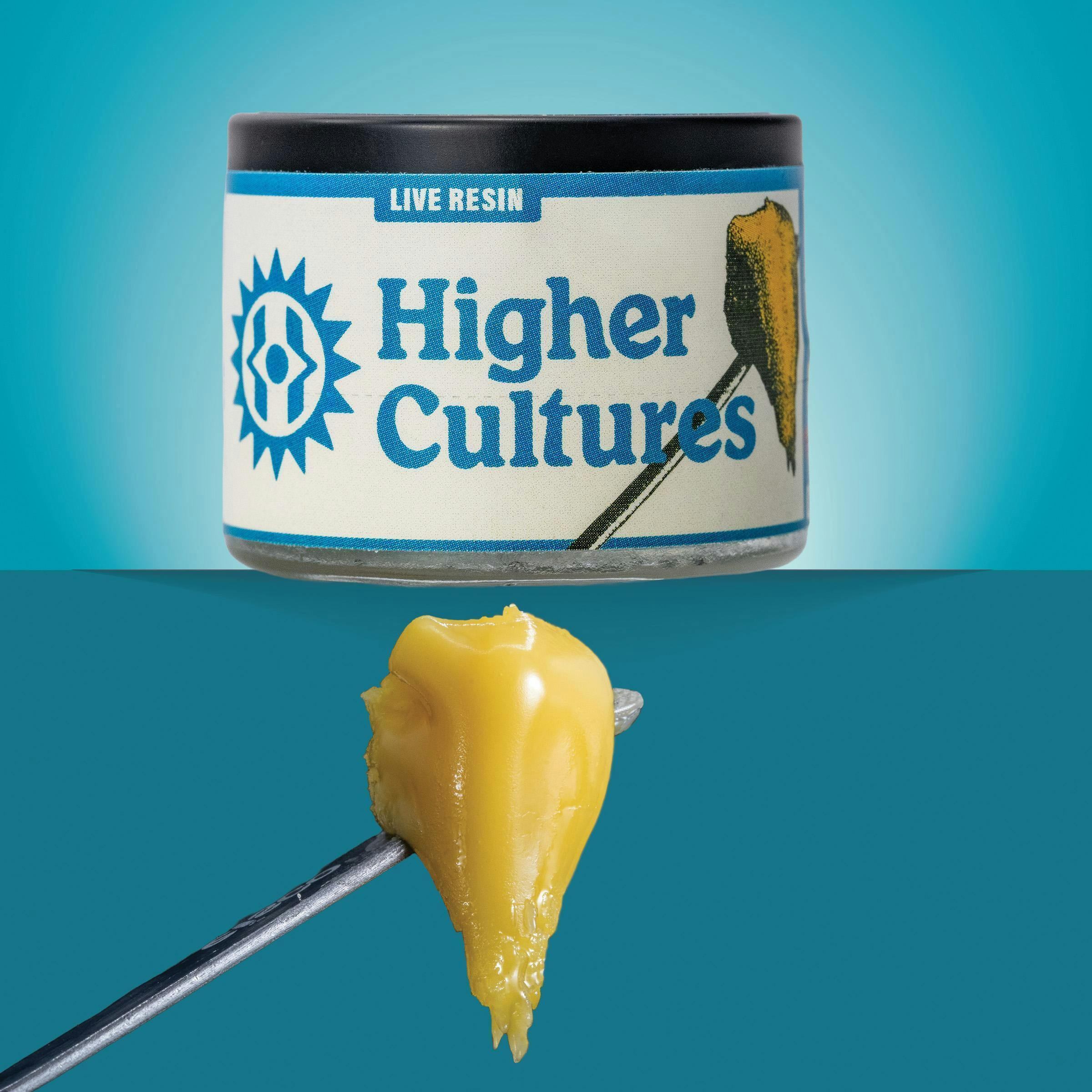 Higher Cultures: Blueberry Muffin