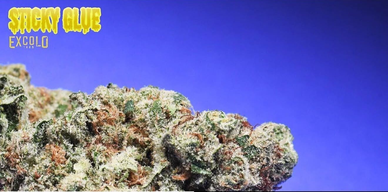 Excolo: Sticky Glue
