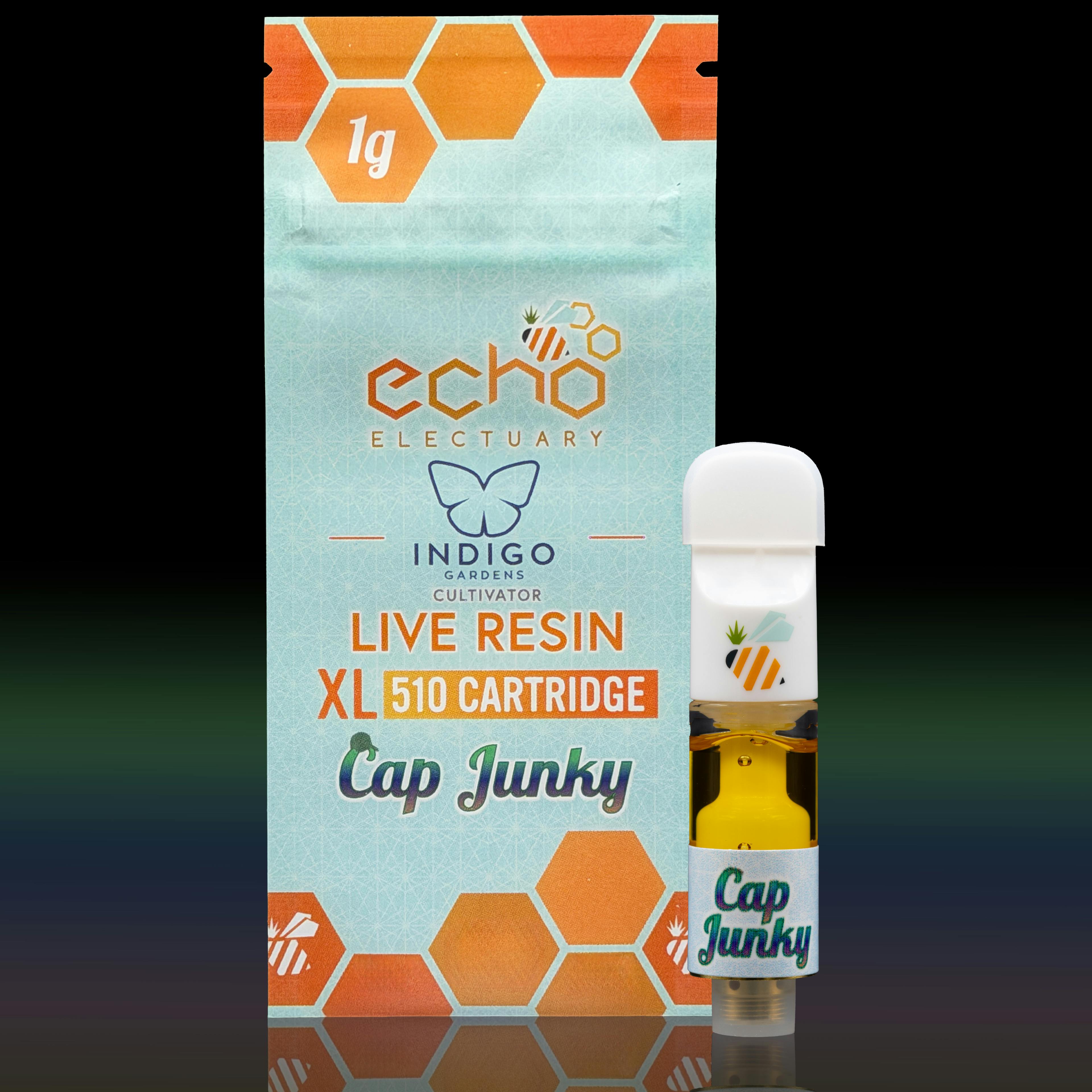 Echo: Cap Junky