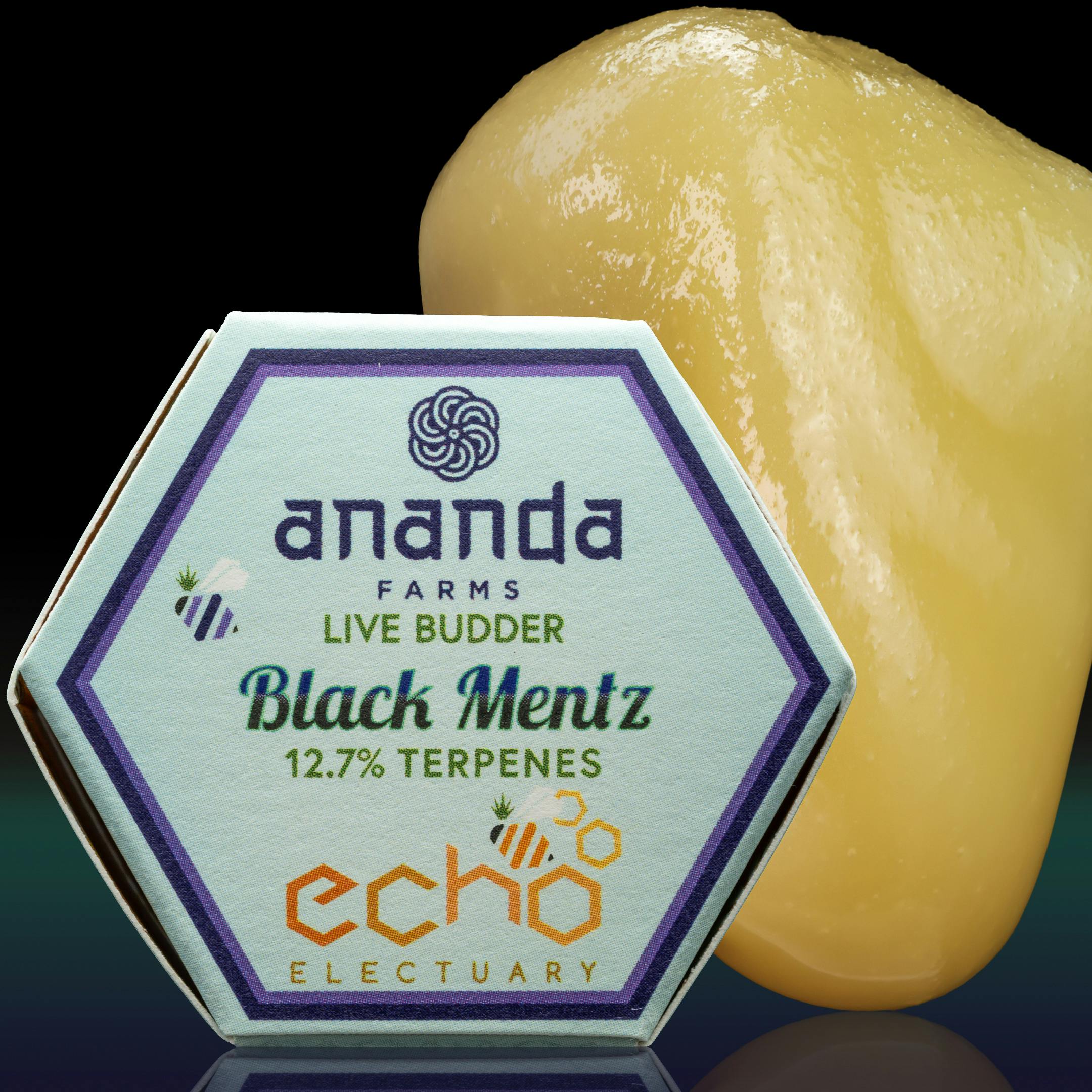 Echo: Black Mentz - Live Budder
