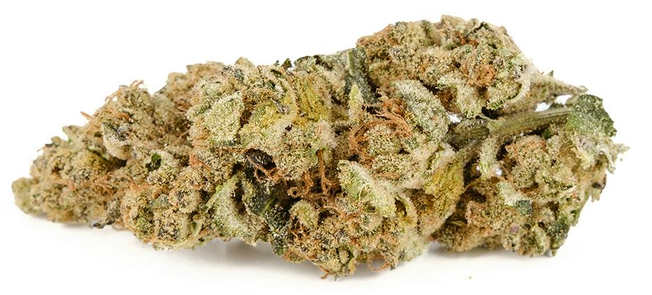 Back Forty - Wedding Pie - 3.5g