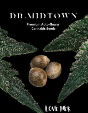AK-47 | Auto Flower Seeds
