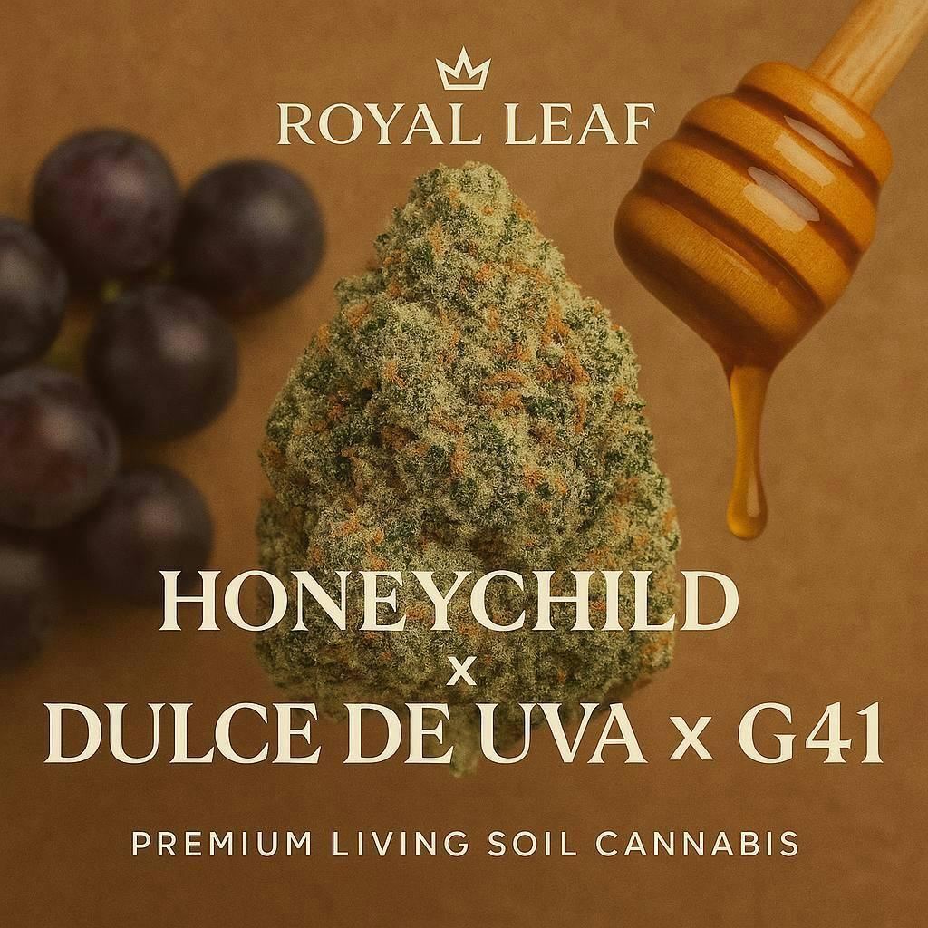 Honey Child | Micro Cultivated | Living Soil