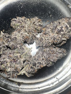 CLOUTKING - BUBBLE BUTT - 3.5g