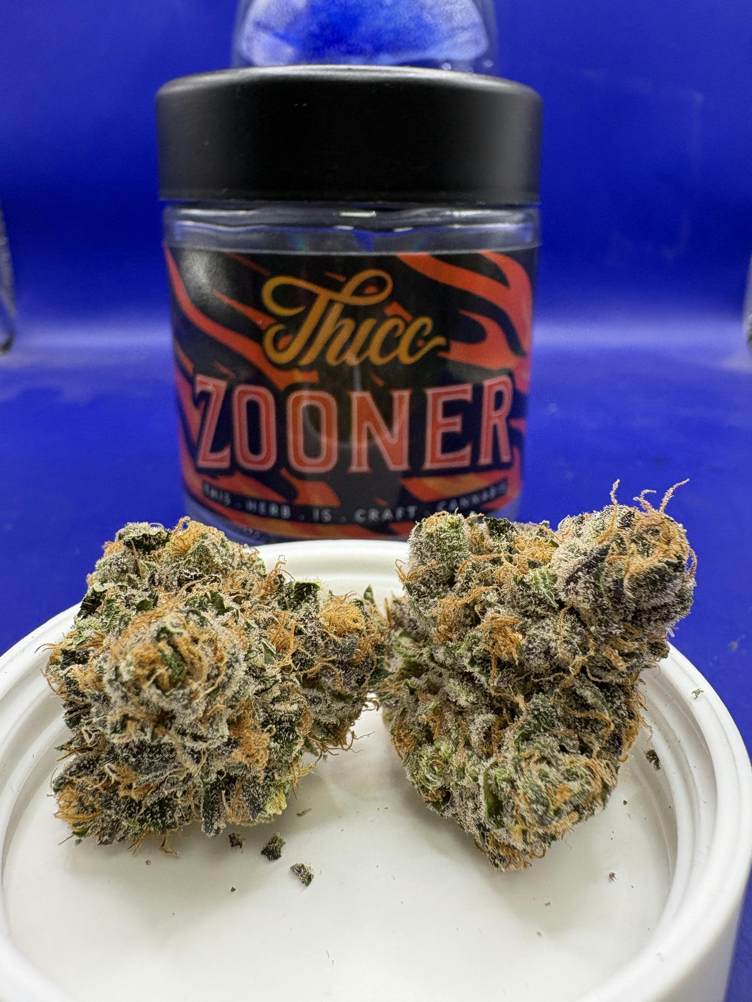 Thicc | Zooner | 3.5g Flower