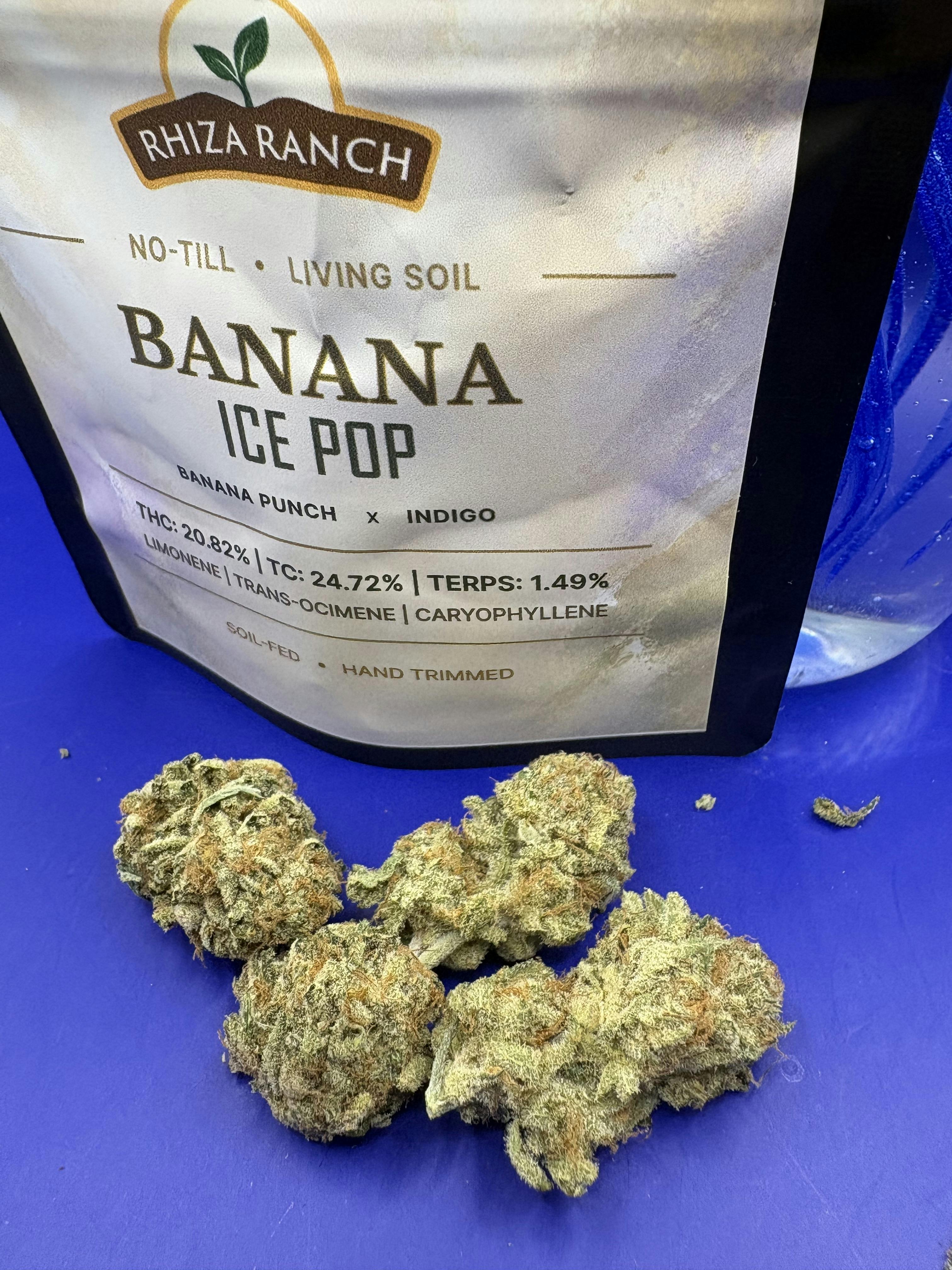 Rhiza Ranch | Banana ice pop | flower 3.5g bags
