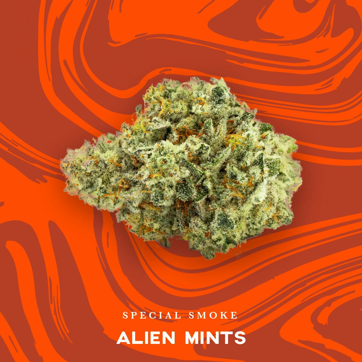 Vivid: Special Smoke Flower | Alien Mintz