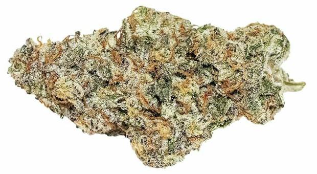 Carmel - MAC 1 - Hybrid - 3.5g