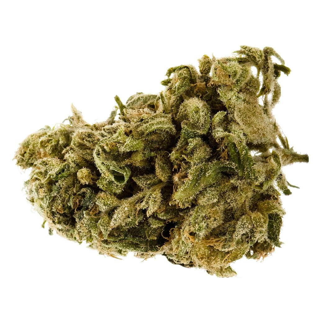 Canna Farms - Canna Bliss - Sativa - 3.5g