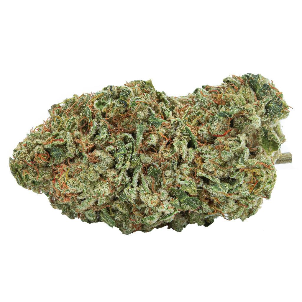 The Green Organic Dutchman - TGOD - Organic Maple Kush - Indica - 3.5g
