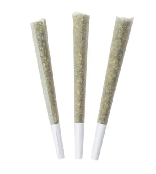 BLUEBERRY YUM YUM PRE-ROLLS | 3 x