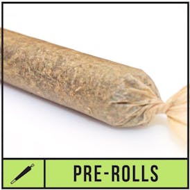 Golden Goat (S) - 1g Pre-Roll - Natty Rems