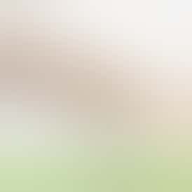 Golden Goat (S) - 1g Pre-Roll - Natty Rems