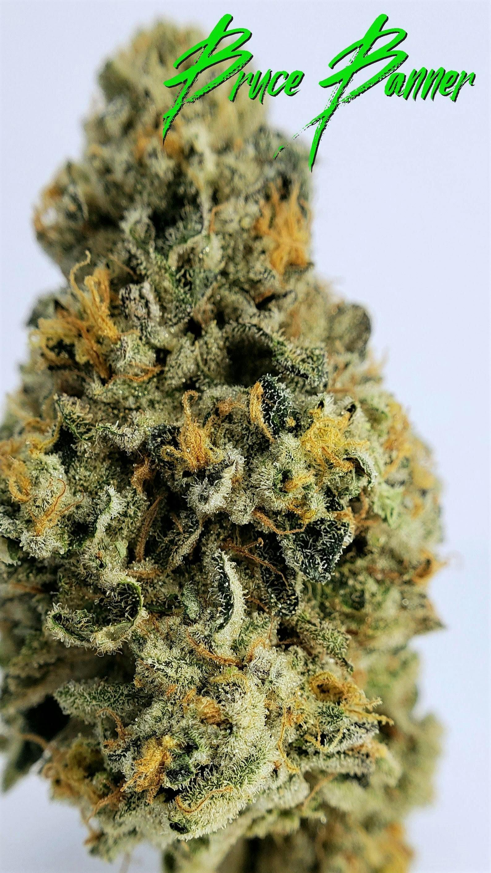 Bruce Banner