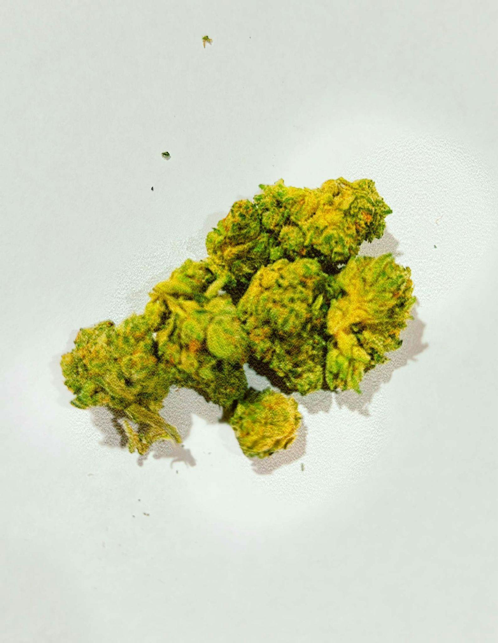 Gelatti Mints