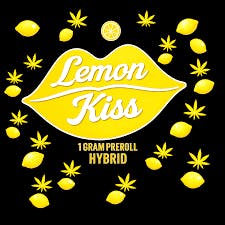 Akron Bloom Lemon Kiss