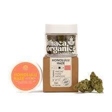 X| Ithaca Organics | Honolulu Haze | Flower | 3.5g
