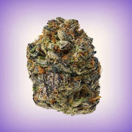 X| Dank | Gary Payton | Flower | 28g