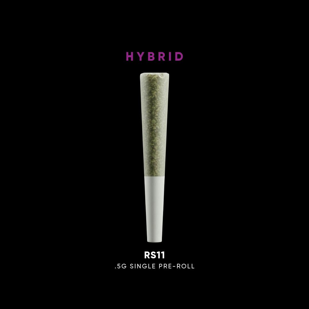 House Of Sacci | RS 11 | Pre-Roll at Our THC Shop - Rosedale | Queens, NY