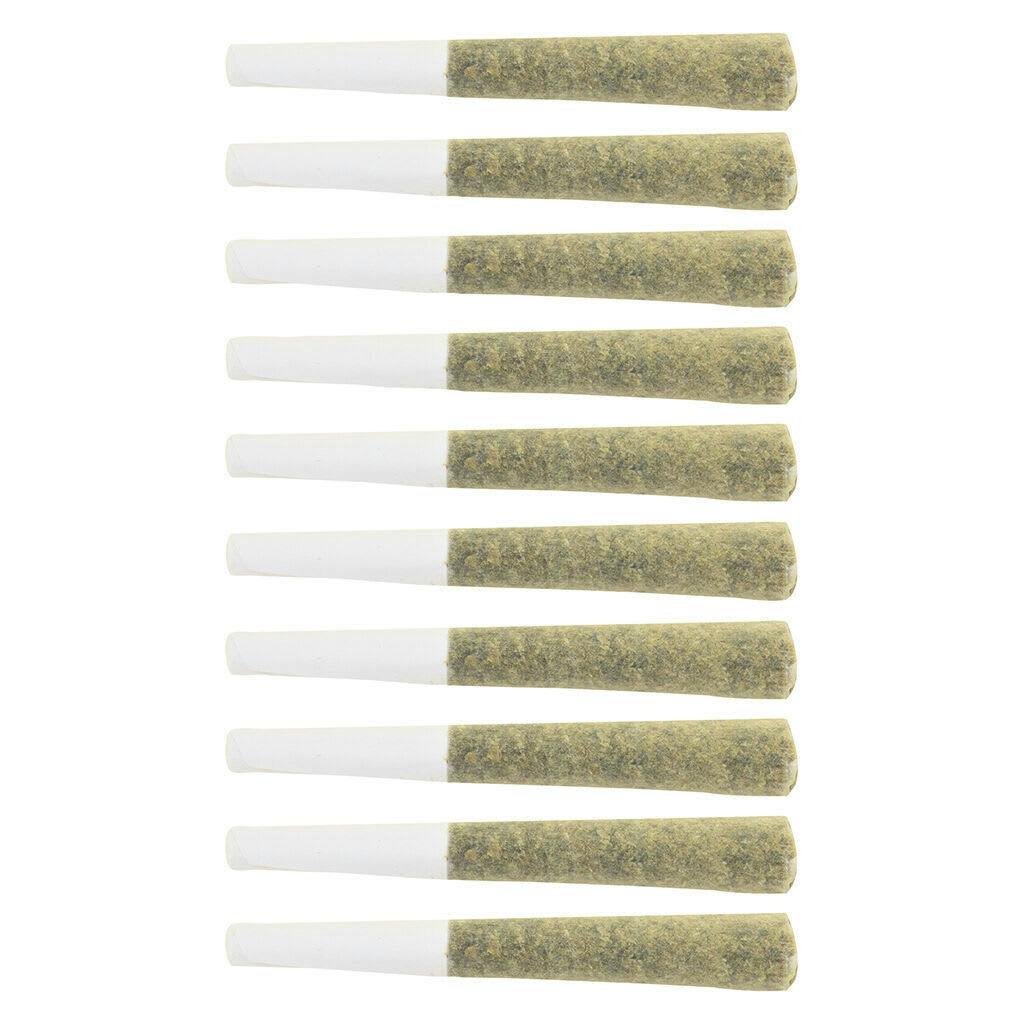 The Loud Plug - Exotic Gas Lg. Pack - Indica - 20x0.5g