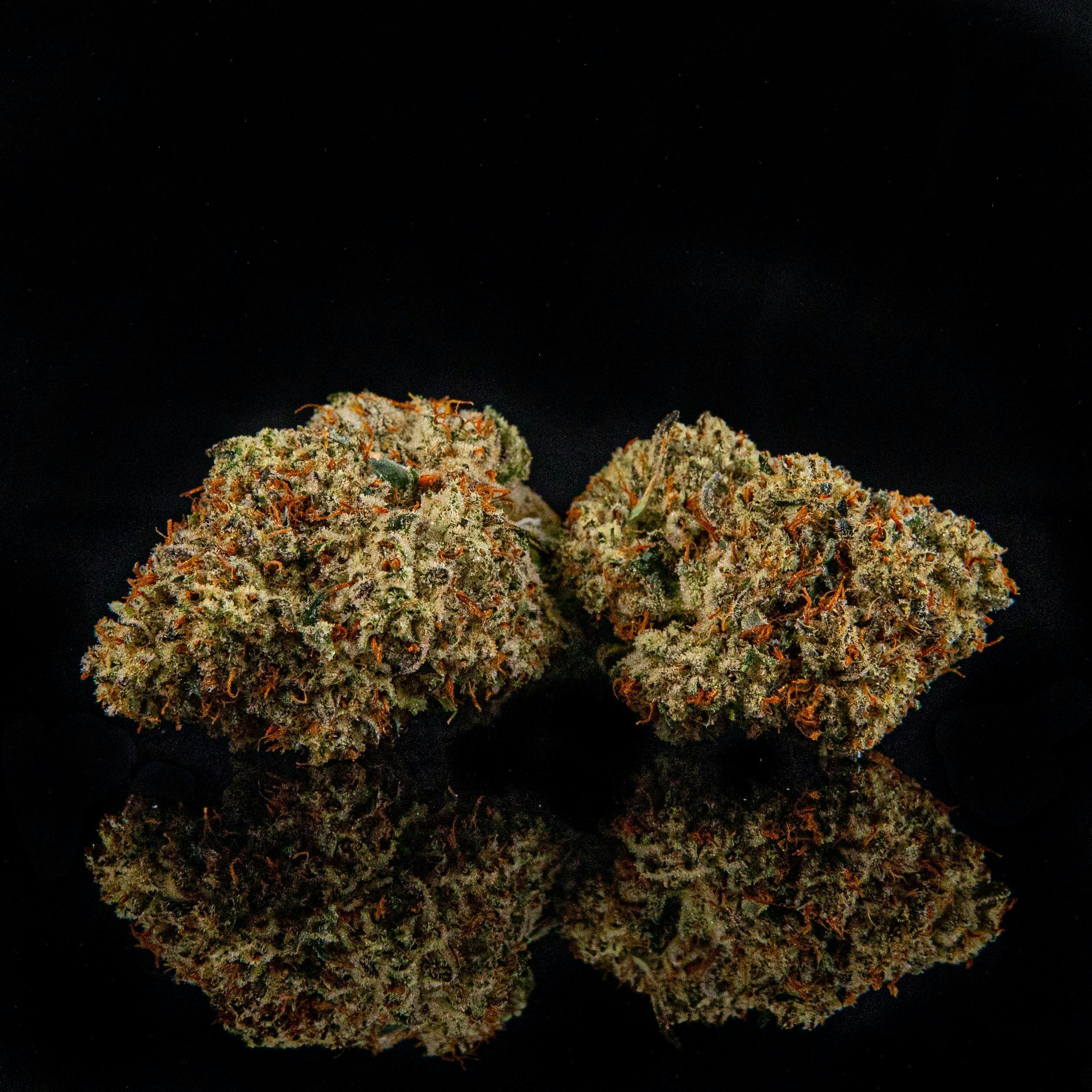 Donkey Butter #9 by Zenoa
