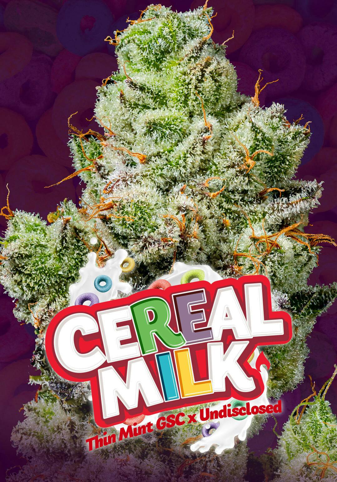Cereal Milk 3.5g - Cake Cannabis