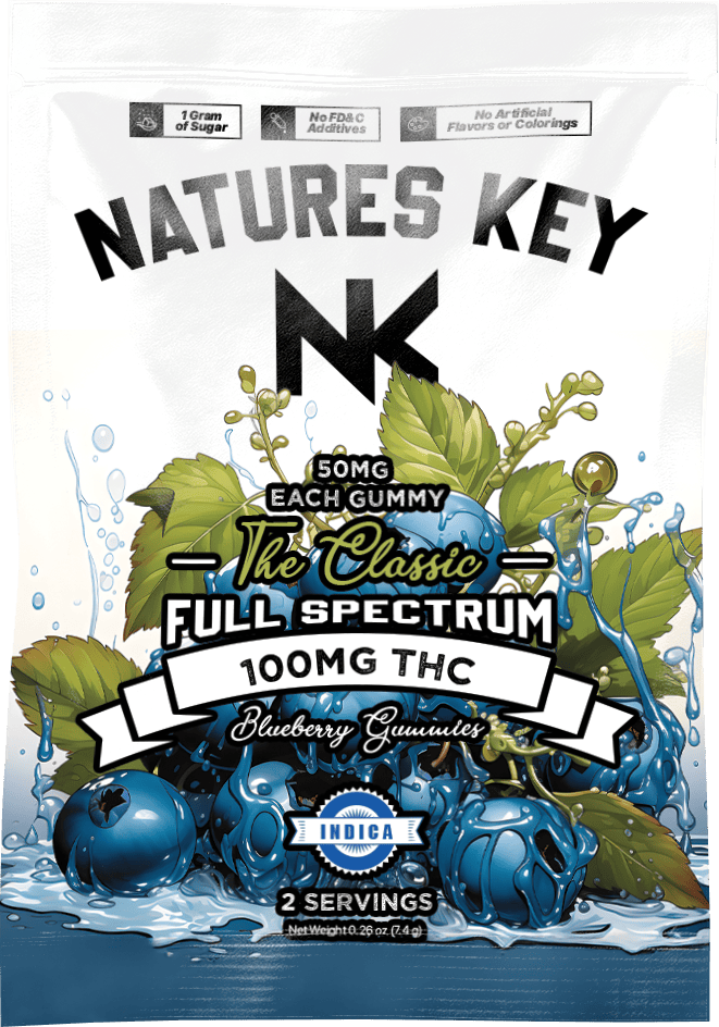 Nature's Key Full Spectrum 100mg Edible - Blueberry