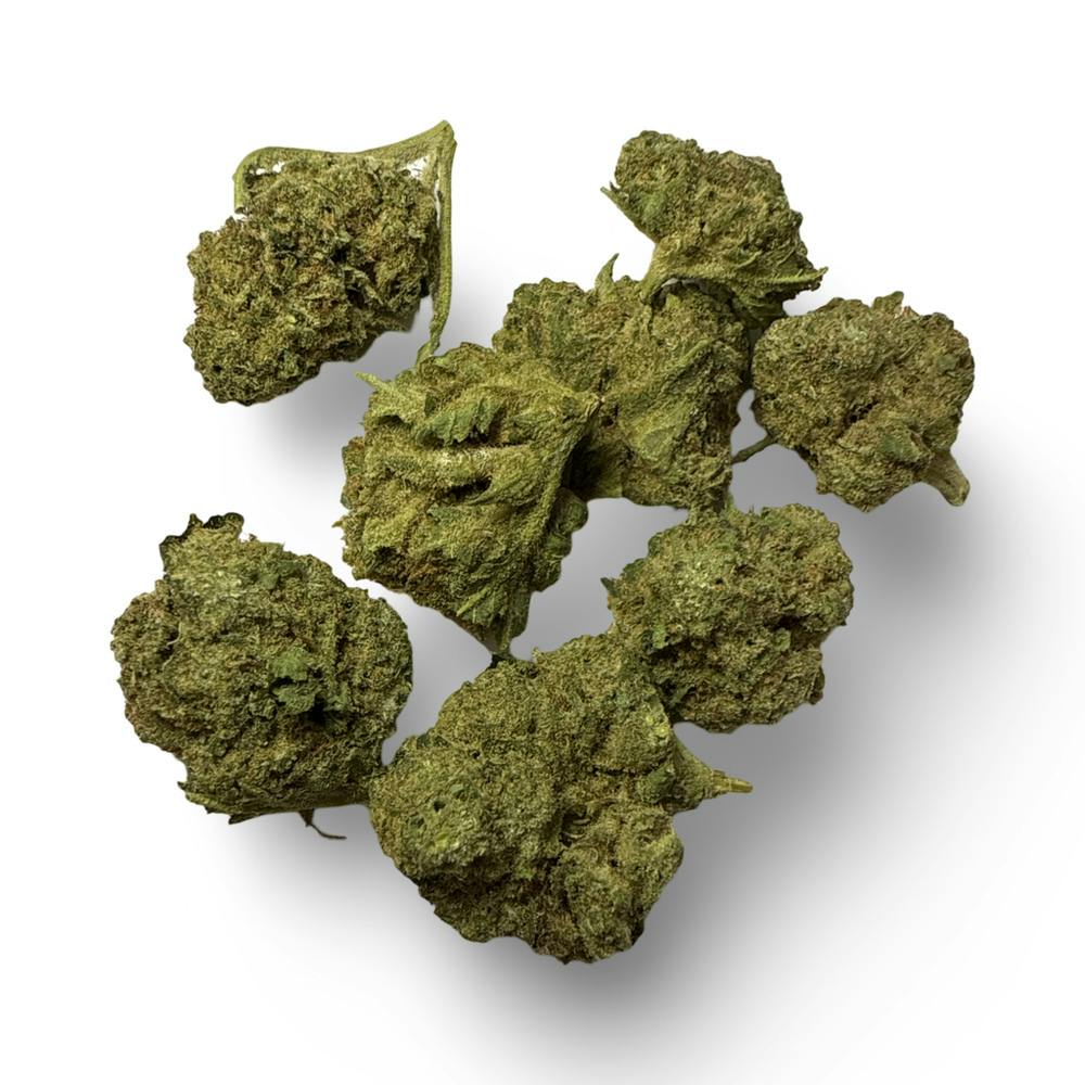 Mimosa