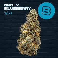 GMO x Blueberry (I) Flower