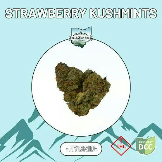 Strawberry Kushmints (H) Flower - 1