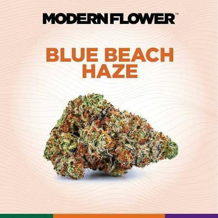 Blue Beach Hz (S) Flower - 1