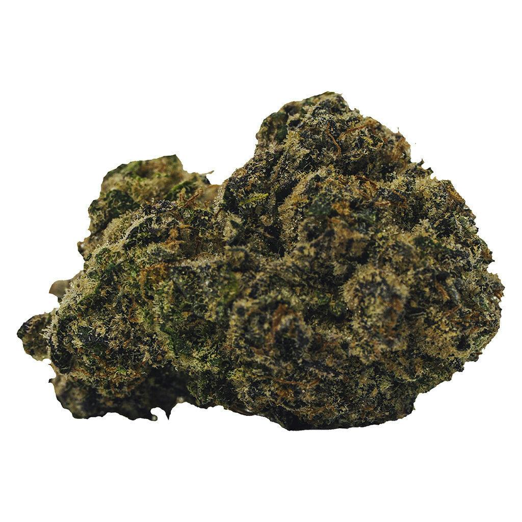 BOLD - Rocket Fuel - Hybrid - 14g
