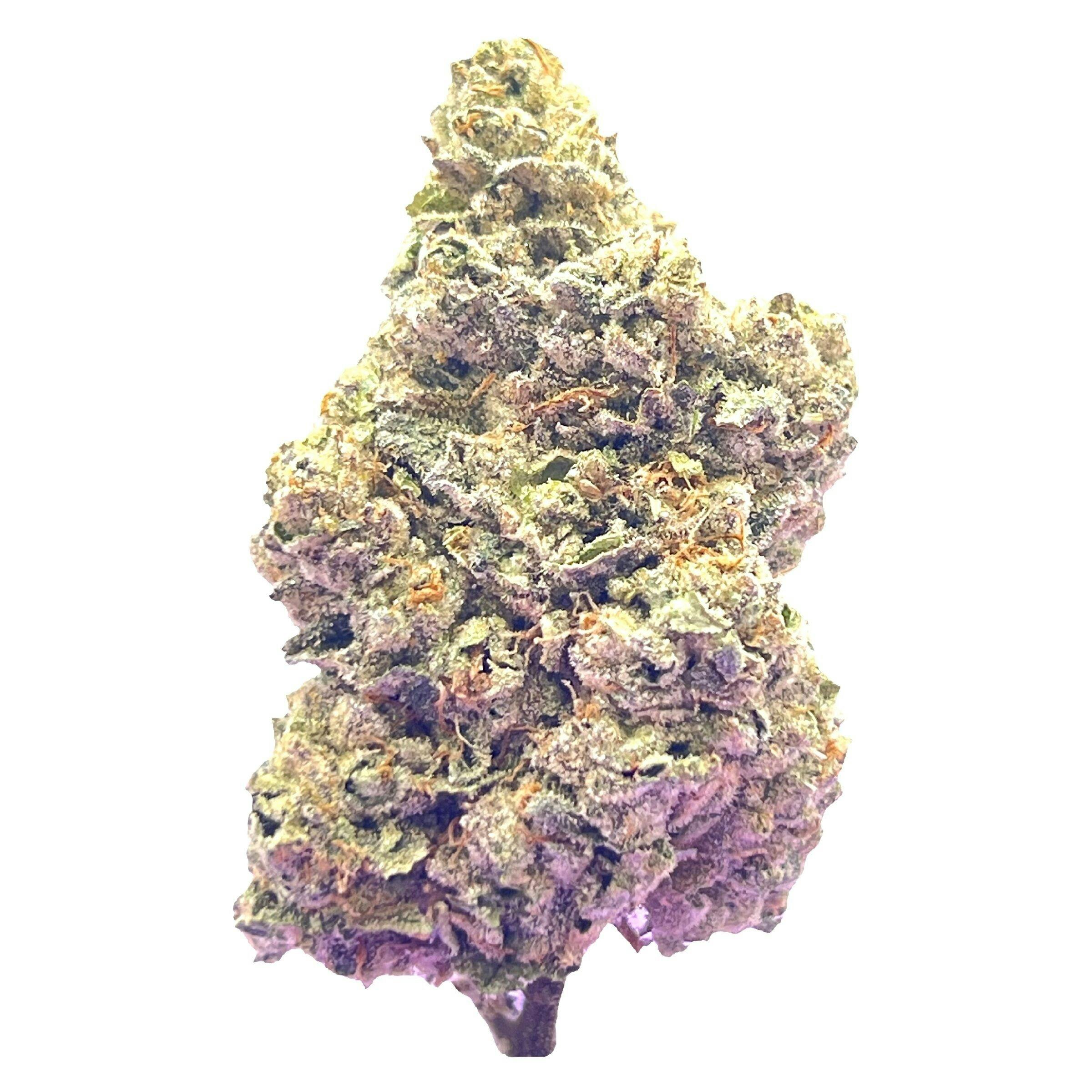 HighXotic - Royal Dive #7: Scarface OG - Indica - 3.5g