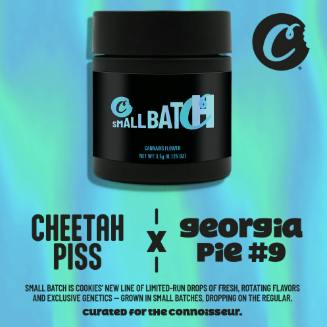 Cheetah Piss x Georgia Pie | 3.5g
