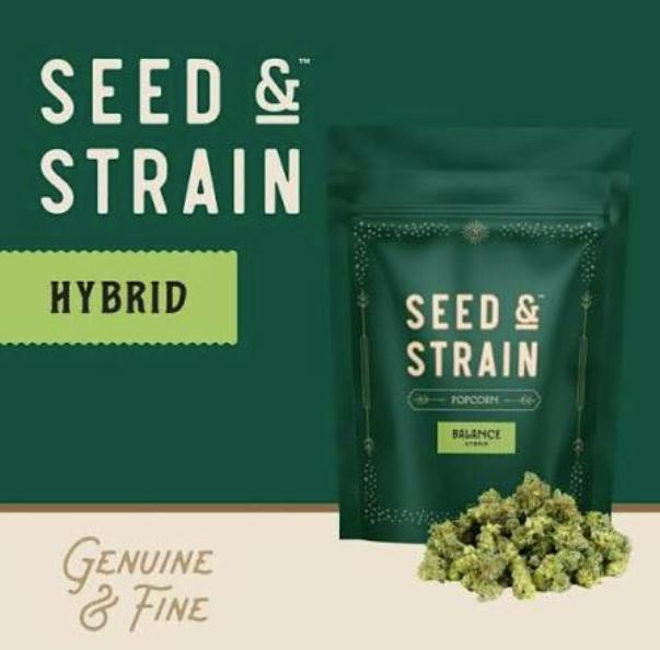 KY Jealous (Seed & Strain) | 14g