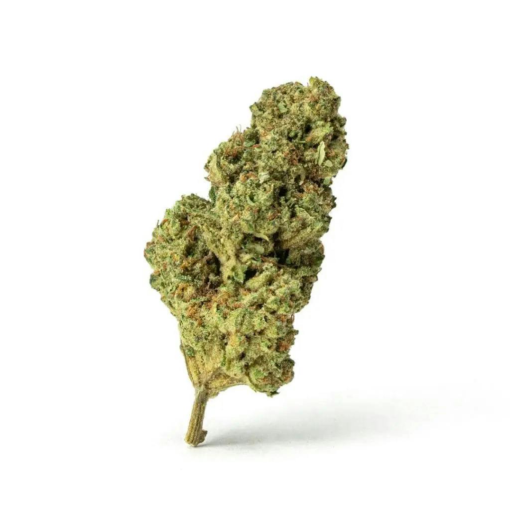 Alaskan Thunder Fuck Shake