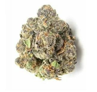 Hashplant