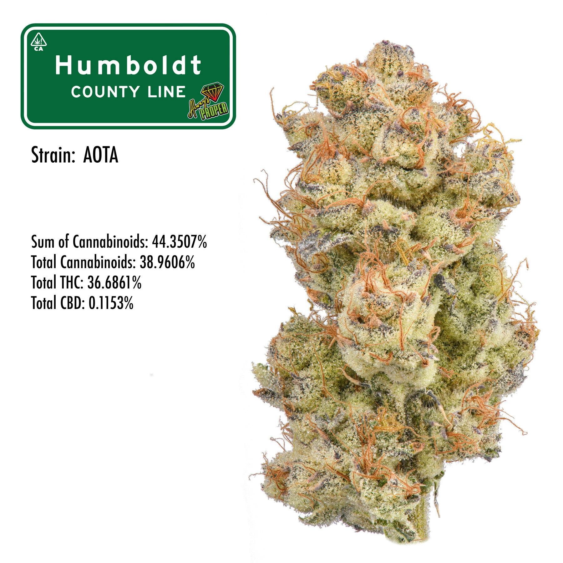 Humboldt: County Line A.o.t.a