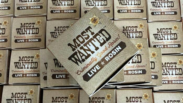 Most Wanted: Lychee X Whitethorn Rose X Paradise Punch