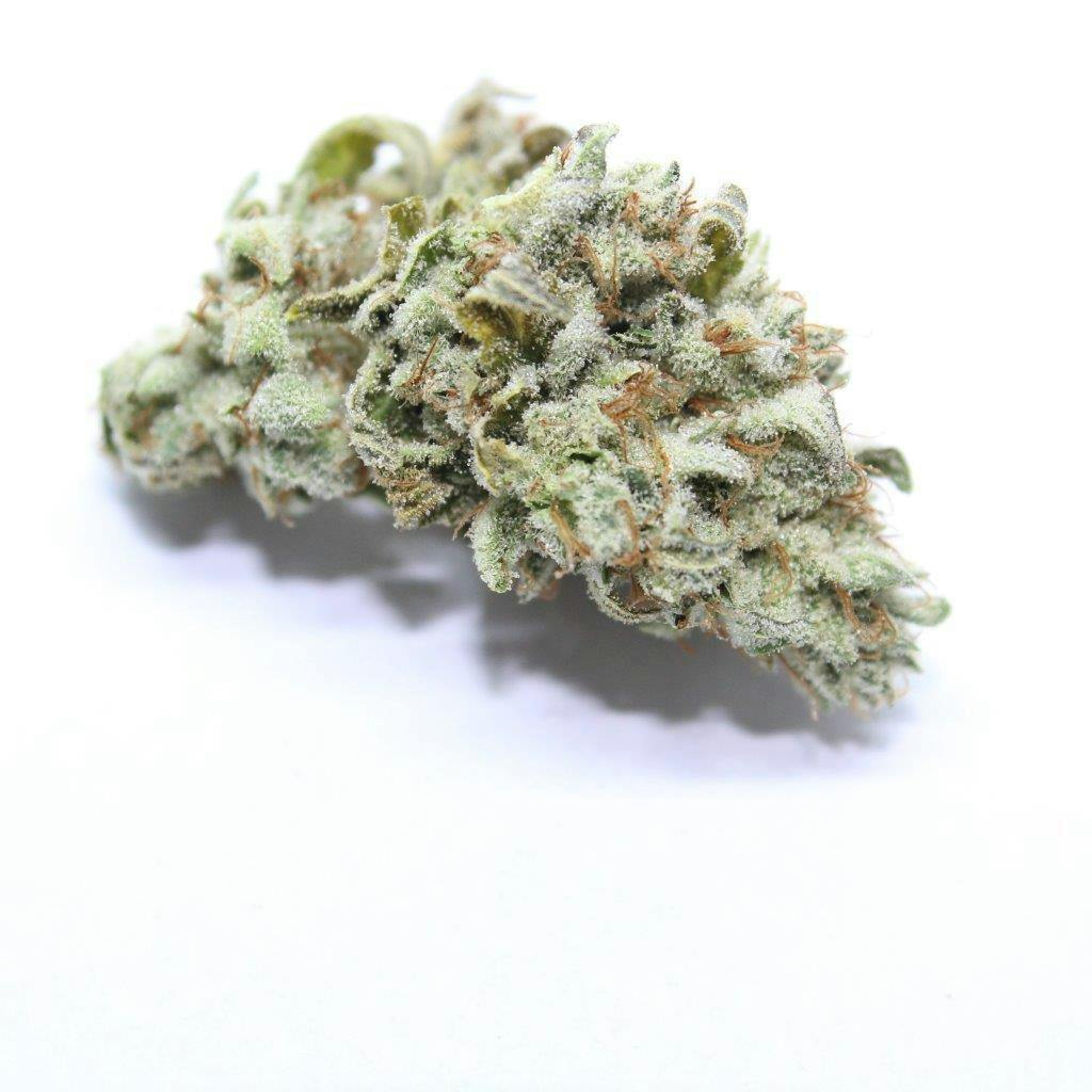 G.G. # 4