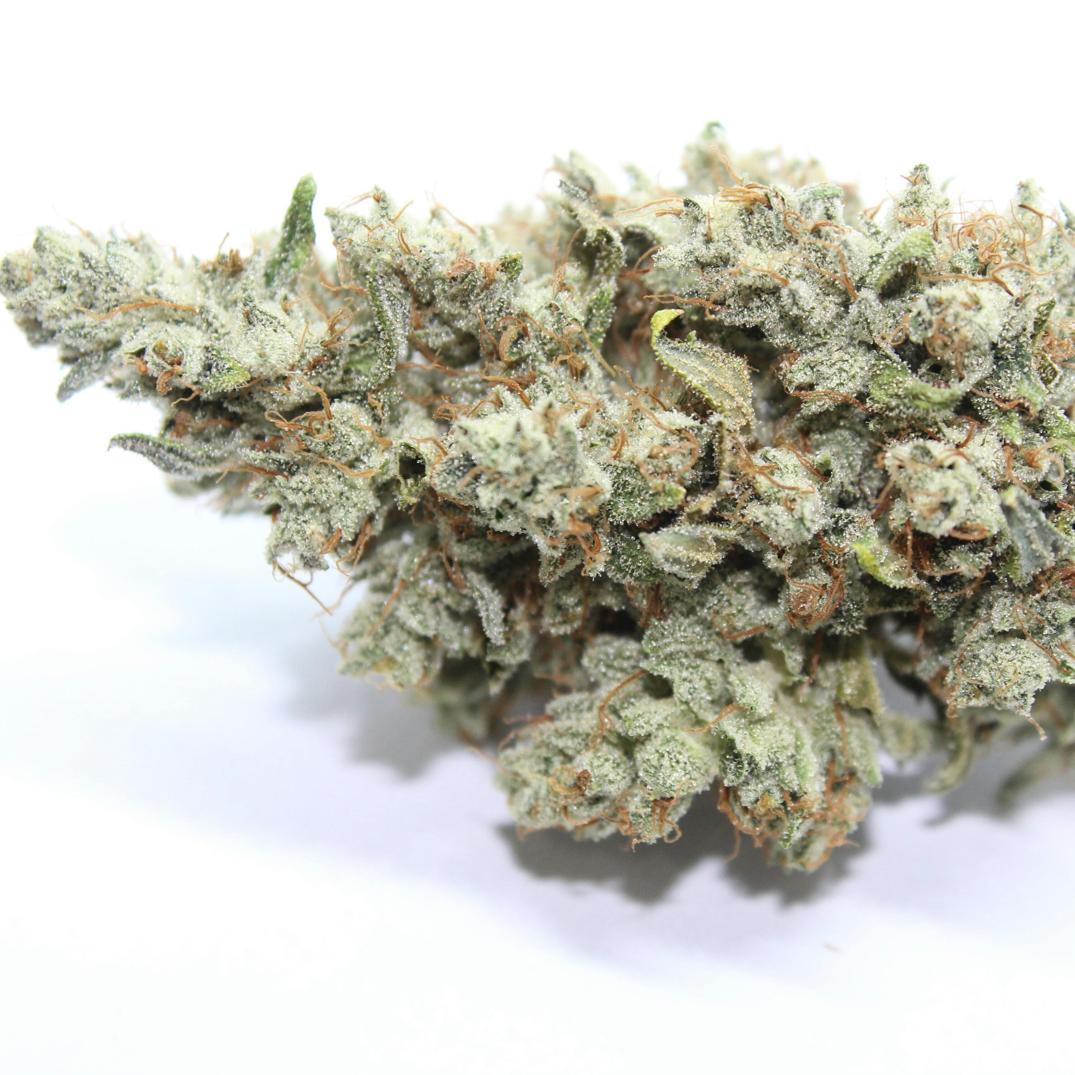 Colorado Chem